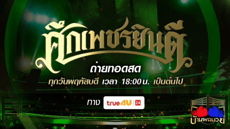 โปรแกรมมวย